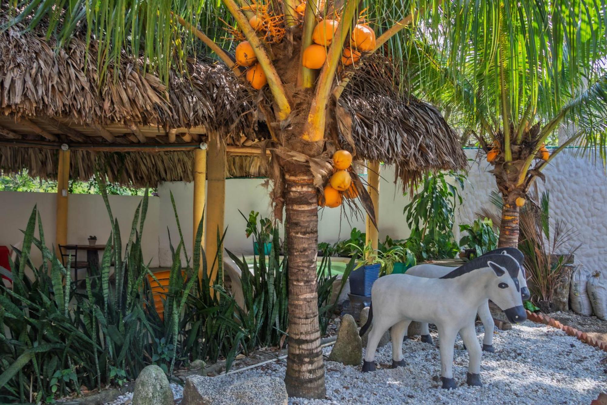 Hotel Manakin Tayrona El Zaino Esterno foto